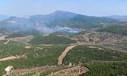İzmir Torbalı’da orman yangınına müdahale sürüyor