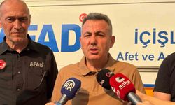İzmir Valisi Elban: "Yangın henüz kontrol atına alınmadı"