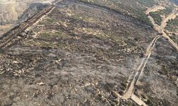 İzmir’de makilik alandaki yangın kontrol altında