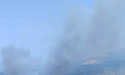 İzmir’de ormanlık alanda çıkan yangın kontrol altında