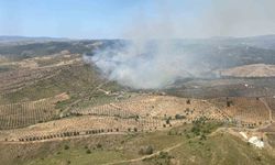 İzmir’de ormanlık alanda yangına havadan ve karadan müdahale başladı