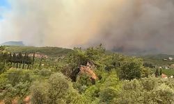 İzmir orman yangınıyla mücadele ediyor... Rüzgardan helikopterler kalkamıyor