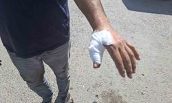 Kahramanmaraş’ta acemi kasaplar hastaneye koştu