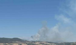 Kahramanmaraş’ta ikinci orman yangını