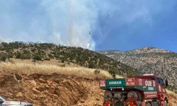 Kahramanmaraş’ta orman yangını sürüyor