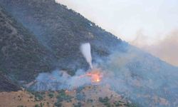 Kahramanmaraş’taki orman yangınına müdahale sürüyor