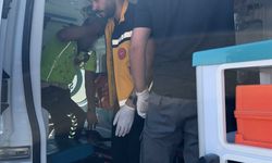 Kamyonet, polis aracına çarptı: 2 polis yaralandı