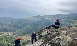 Kayalıklarda mahsur kalan keçiler kurtarıldı