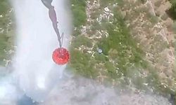 Kemalpaşa’daki orman yangını kontrol altında