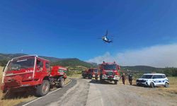 Kepsut’taki 2 ayrı orman yangınında soğutma çalışmaları sürüyor, 5 kişi gözaltında