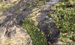 Kepsut’taki yangınla mücadele sürüyor
