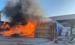 Kereste deposunda yangın