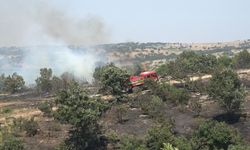 Kırklareli’nde ceviz bahçesi ve orman alanında yangın