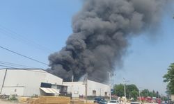 Kocaeli’de fabrika yangını
