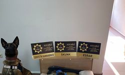 Kocaeli’nde uyuşturucu operasyonu: 9 bin 900 ecstasy hap ele geçirildi