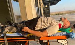Koyun sürüsüne çarpan otomobilin sürücüsü yaralandı