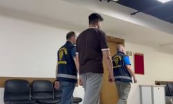 Küçükçekmece’de otluk alanı yakan şahıs tutuklandı