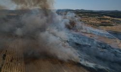 Kula’da ekili arazide büyük yangın