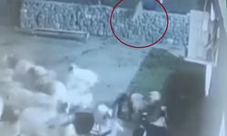 Kurt, ağıldaki sürüye böyle daldı: Kurdun kaptığı koyun ölü taklidi yaparak kurtuldu