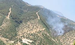 Manisa’da orman yangınına havadan ve karadan müdahale