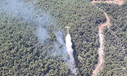 Manisa’daki orman yangını kontrol altına alındı