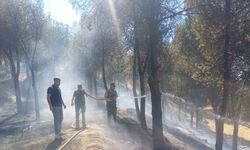Manisa’daki yangın hızlı müdahale ile söndürüldü