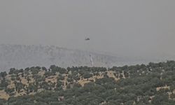 Mardin’de çıkan orman yangını kontrol altına alındı