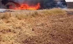 Mardin’de çıkan yangında 25 ton saman ve 300 sulama borusu yandı