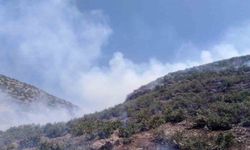 Mardin’de ormanlık alanda çıkan yangına müdahale sürüyor