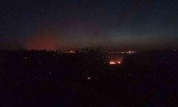 Mardin’deki orman yangını kontrol altına alındı