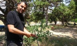 Ölmeden ölüm ilanı verildi, duyunca şok oldu