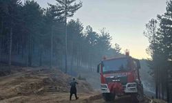 Orman yangını kontrol altına alındı