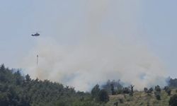 Osmaniye’de çıkan orman yangını söndürüldü