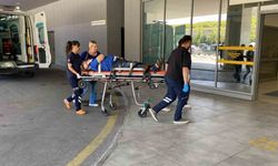 Otomobil ağaca çarptı, yaşlı çift yaralandı