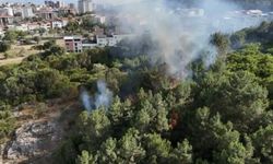 Pendik’te ormanlık alanda çıkan yangın söndürüldü