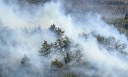 Sakarya’da ormanda yeniden yükselen alevlere havadan ve karadan müdahale edildi