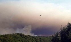Sakarya’da ormanlık alanda çıkan yangına havadan ve karadan müdahale sürüyor