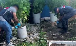 Sakarya’da uyuşturucu operasyonu: 1 tutuklama