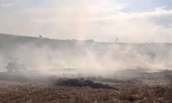 Sakarya’da yangın: 200 saman balyası yandı, çiftçiler traktörleriyle müdahale etti