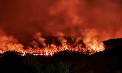 Sakarya’daki orman yangını havadan görüntülendi