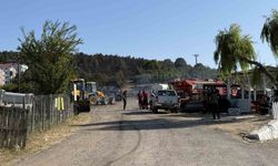 Sakarya’daki orman yangını kontrol altına alındı