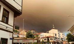 Sakarya’daki orman yangını nedeniyle Bilecik’te 1 köy boşaltılıyor