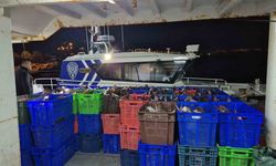 Samsun açıklarında 6 ton kaçak kalkan balığı ele geçirildi