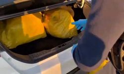 Şanlıurfa’da 35 kilogram skunk ele geçirildi: 1 gözaltı