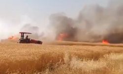 Şanlıurfa’da buğday tarlasında çıkan yangın kontrol altına alındı