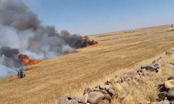 Şanlıurfa’da buğday tarlasında yangın: 1’i ağır 5 yaralı