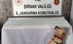 Şırnak’ta 281 bin 500 TL değerinde kaçak malzeme ele geçirildi