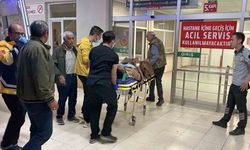 Sivas’ta kan donduran olay: Kardeşini öldürdü, diğer kardeşi ve kendi oğlunu yaraladı