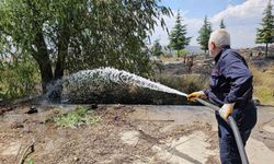 Tatvan’da çıkan yangında 50 dönümlük alan küle döndü