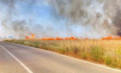 Tekirdağ’da 250 dönüm buğday yandı